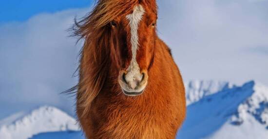 © Monsieur Olivier - stock.adobe.com