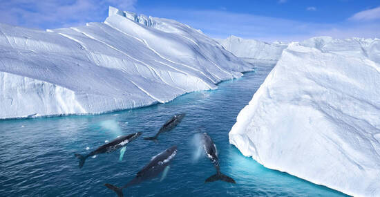 © Revive Photo Media - stock.adobe.com