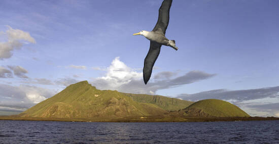 © PantherMedia / Steve_Allen