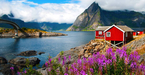 © Maresol - stock.adobe.com