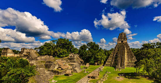 © WitR - stock.adobe.com