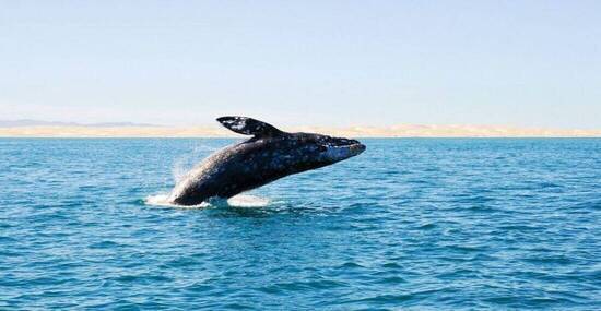 © Jan-Dirk - Fotolia