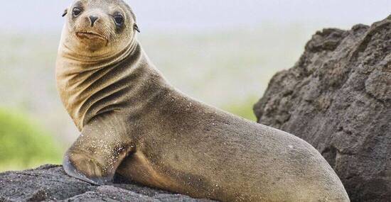 © dlrz4114 - Fotolia