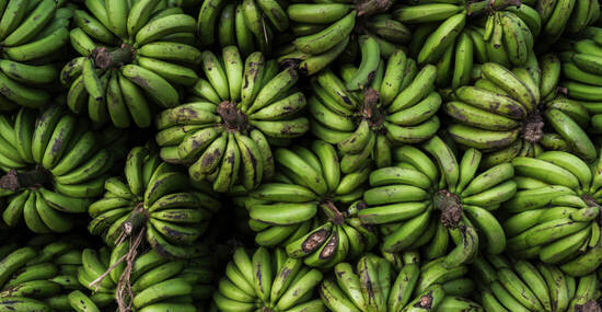 © Matthew - stock.adobe.com