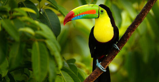 © ondrejprosicky - stock.adobe.com