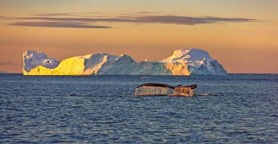 © vadim_petrakov - Fotolia