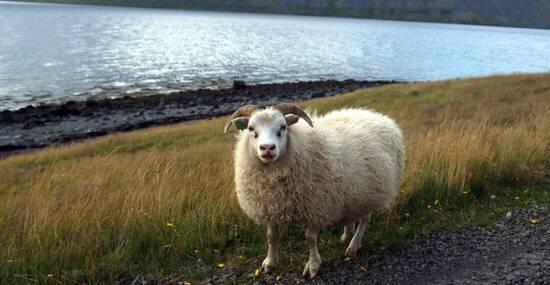 © struve72 - stock.adobe.com