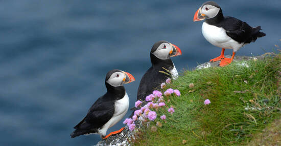 © renatehenkel - stock.adobe.com