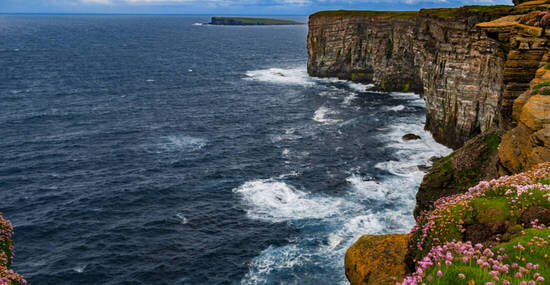 © Stuart Chang - stock.adobe.com