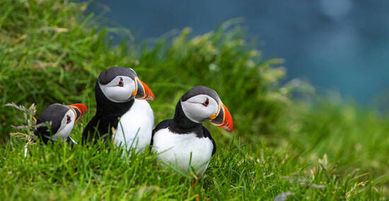 ©Curioso Photography - stock.adobe.com