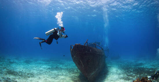 © Hedvika - stock.adobe.com