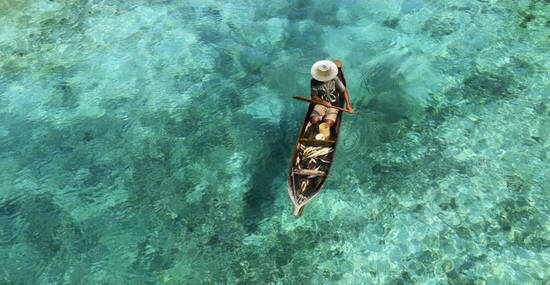 © MICHEL - stock.adobe.com