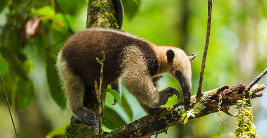 © roca83 - stock.adobe.com