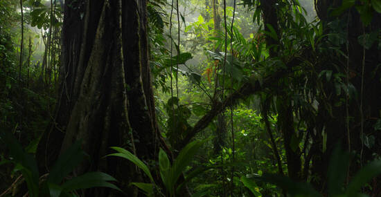 © quickshooting - stock.adobe.com