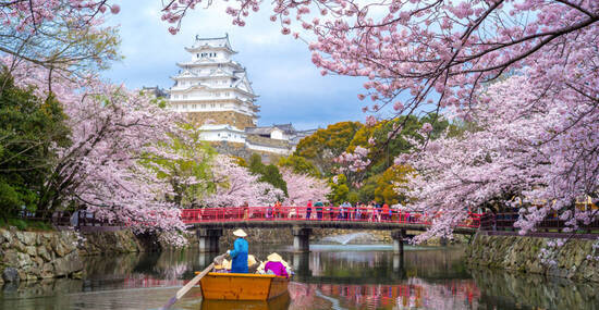 © Richie Chan - stock.adobe.com