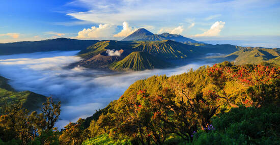 ©lkunl - stock.adobe.com