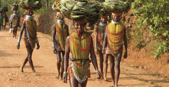 © mauritius images