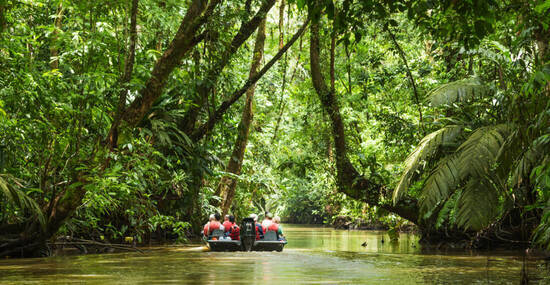 © roca83 - stock.adobe.com