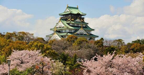 ©shirophoto - stock.adobe.com