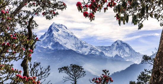 © Getty Images/iStockphoto