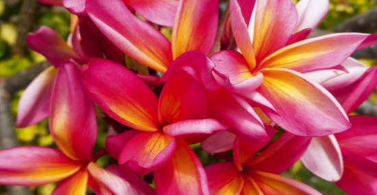 © seva63 - Fotolia