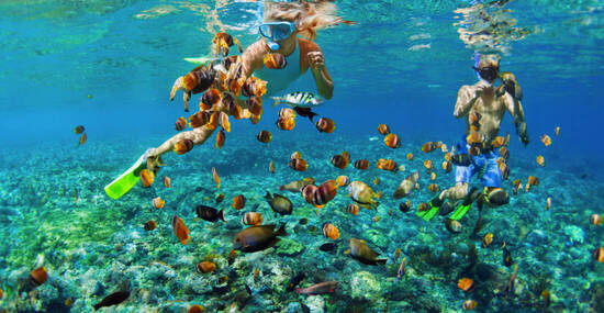 © Tropical studio - stock.adobe.com