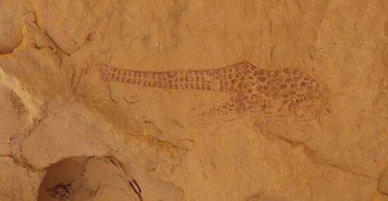 © Ikarus Tours/Seddik Mehiri