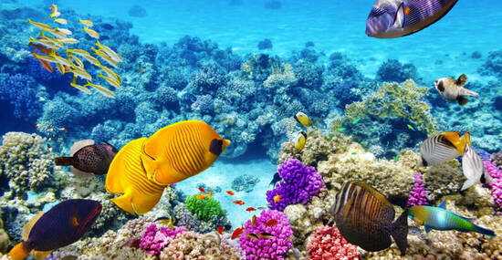 © Brian Kinney - stock.adobe.com