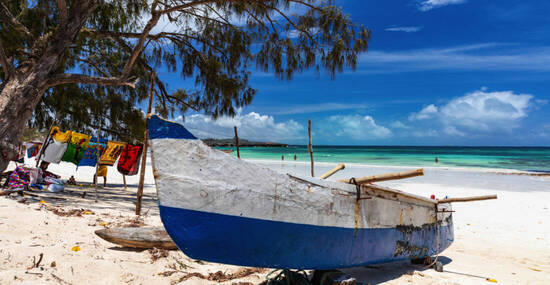 © Reto Ammann - stock.adobe.com