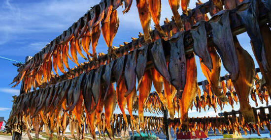© Francesco Dazzi - stock.adobe.com