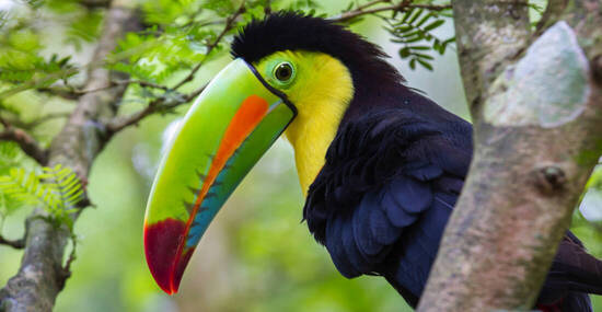 © Ivan Kuzmin - stock.adobe.com