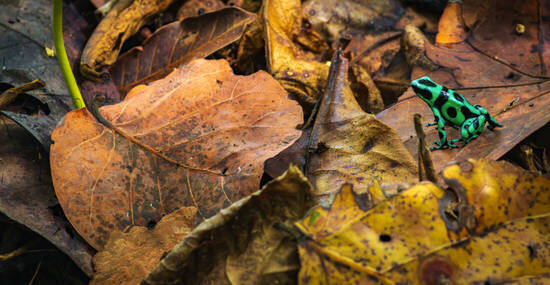 © julen - stock.adobe.com