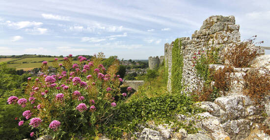 www.visitisleofwight.co.uk