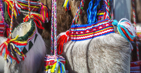 © maylat - stock.adobe.com
