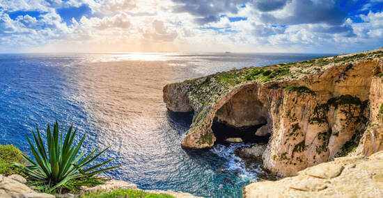 © Julia Lavrinenko - stock.adobe.com