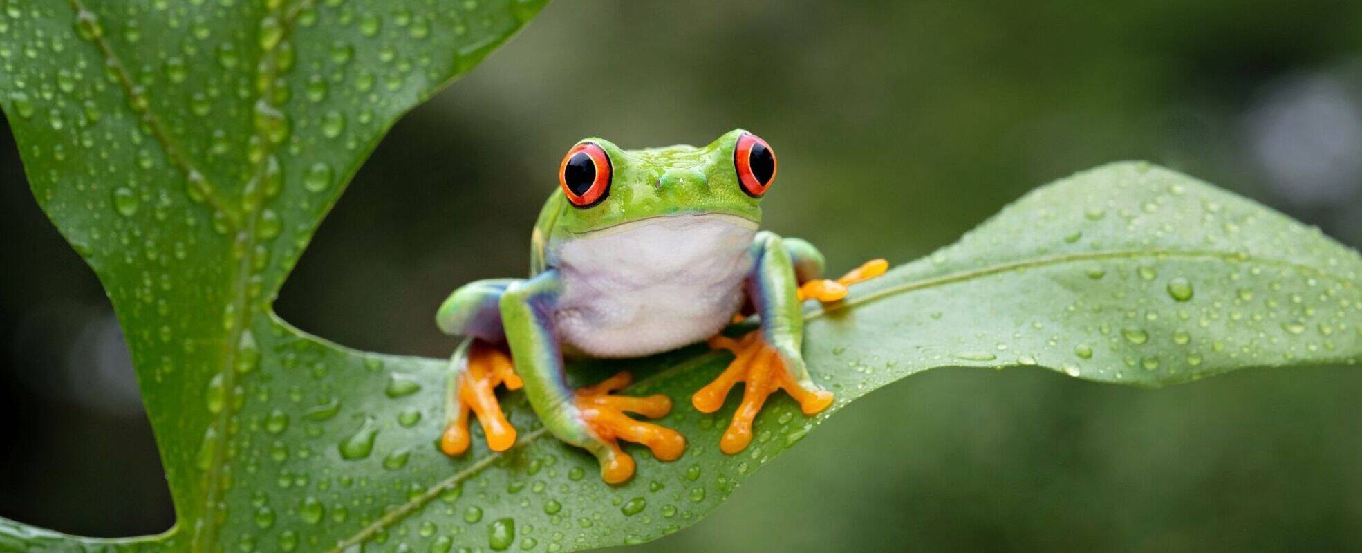 Klimaschutzprojekt myclimate