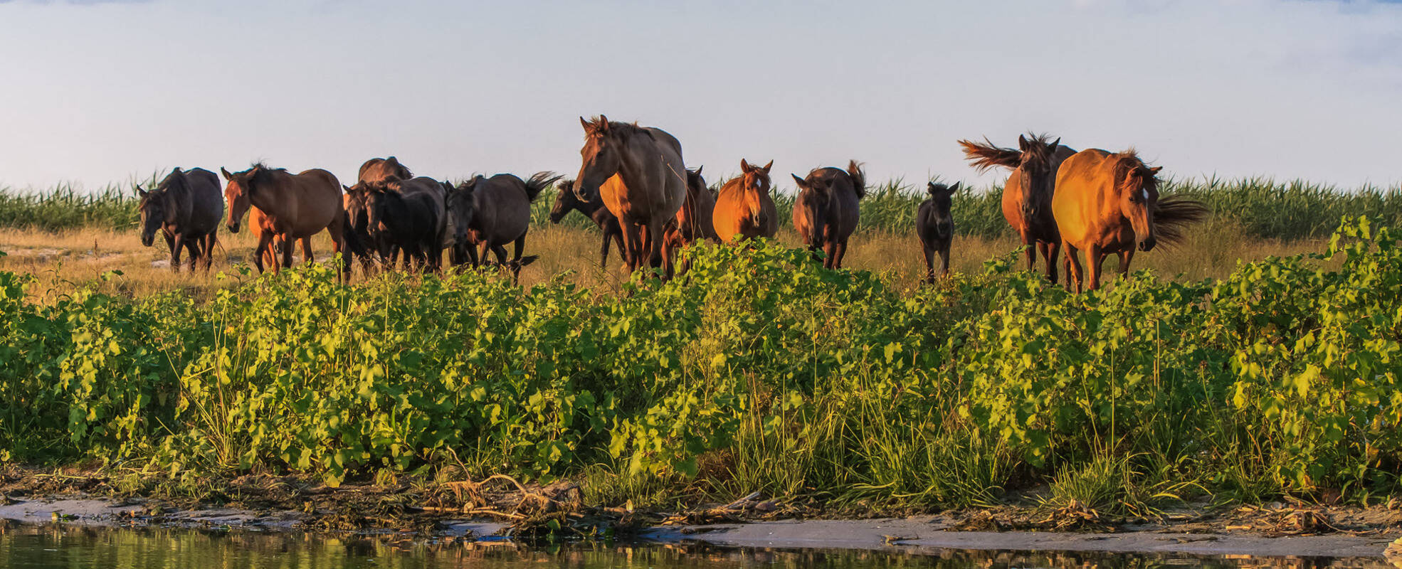 Rumänien Rundreisen mit ihrem Reisespezialisten erleben