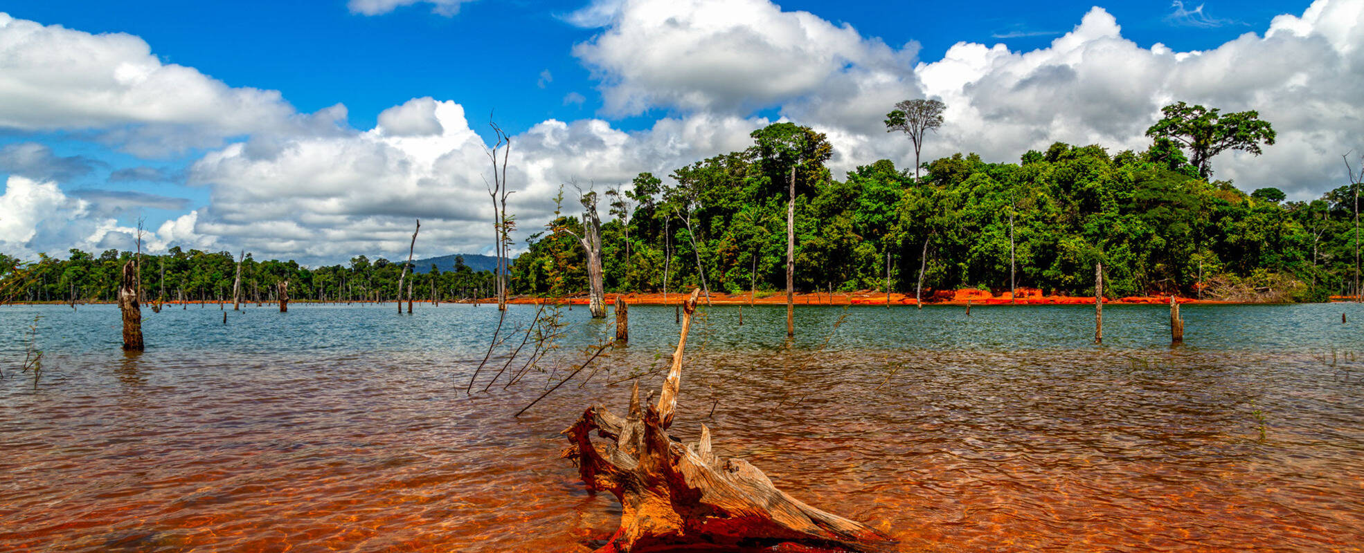 Suriname Rundreisen mit ihrem Reisespezialisten erleben