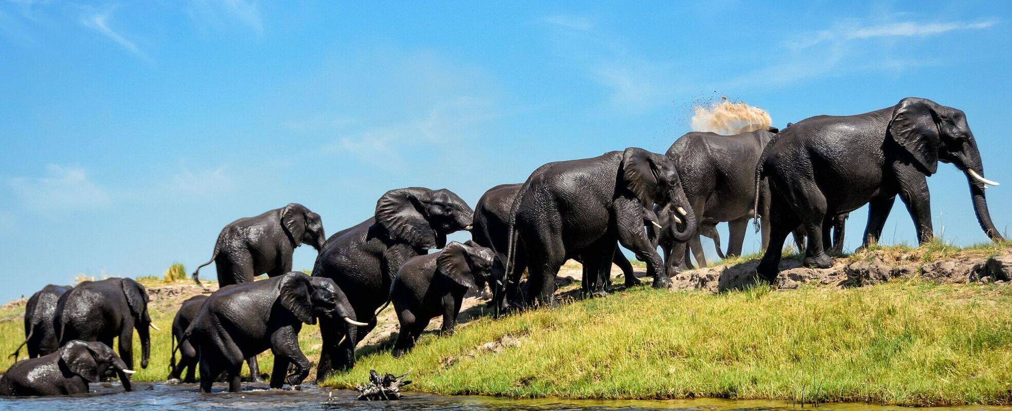 Rundreise Botswana mit Ikarus Tours erleben