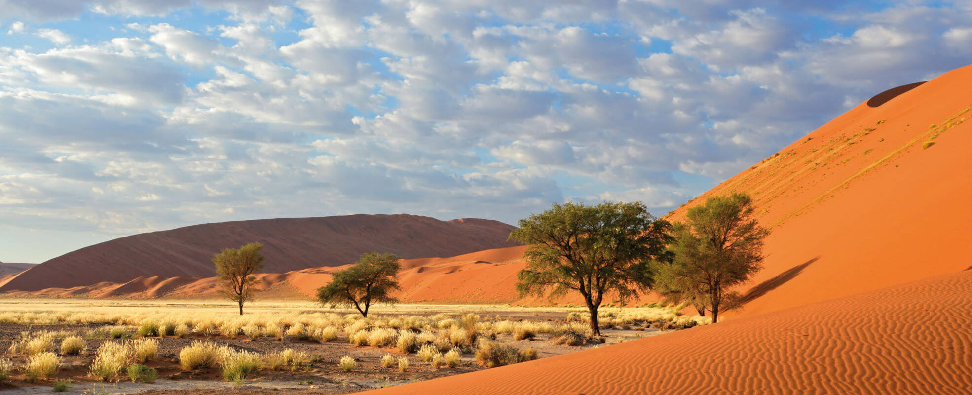 Rundreise Namibia mit Ikarus Tours erleben