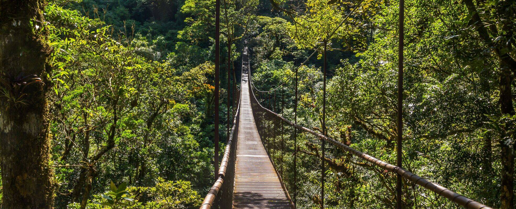 Nachhaltigkeit und Verantwortung