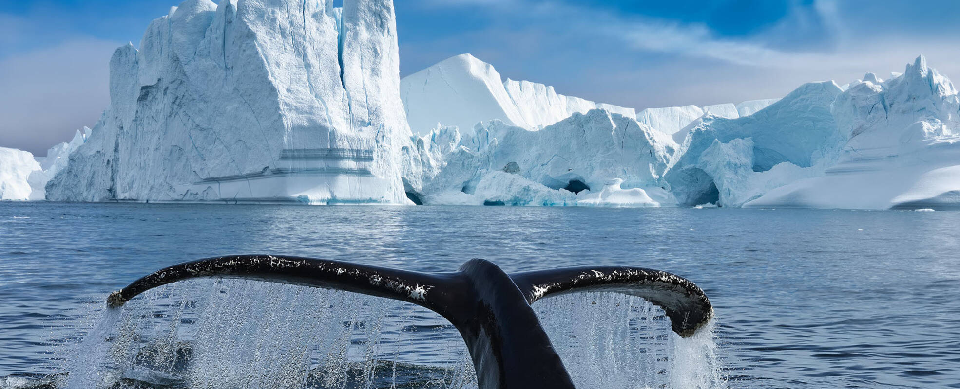 Grönland Rundreisen mit ihrem Reisespezialisten erleben