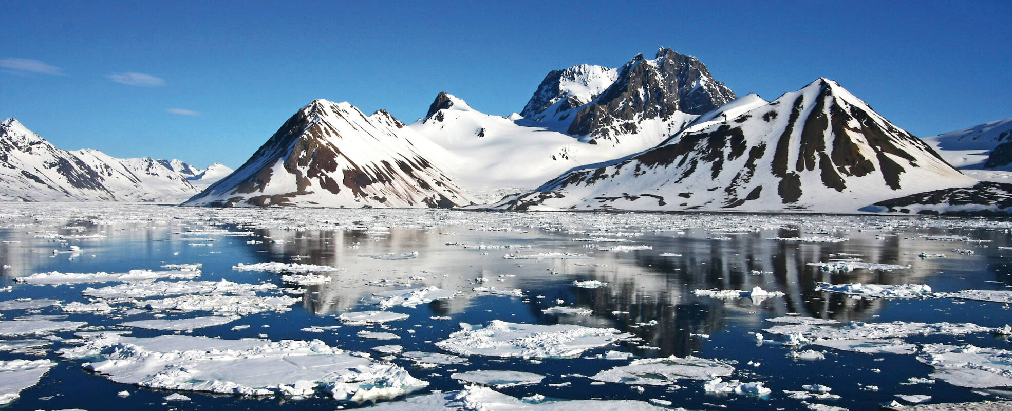 Arktis Expeditionen und Kreuzfahrten mit Ikarus Tours erleben