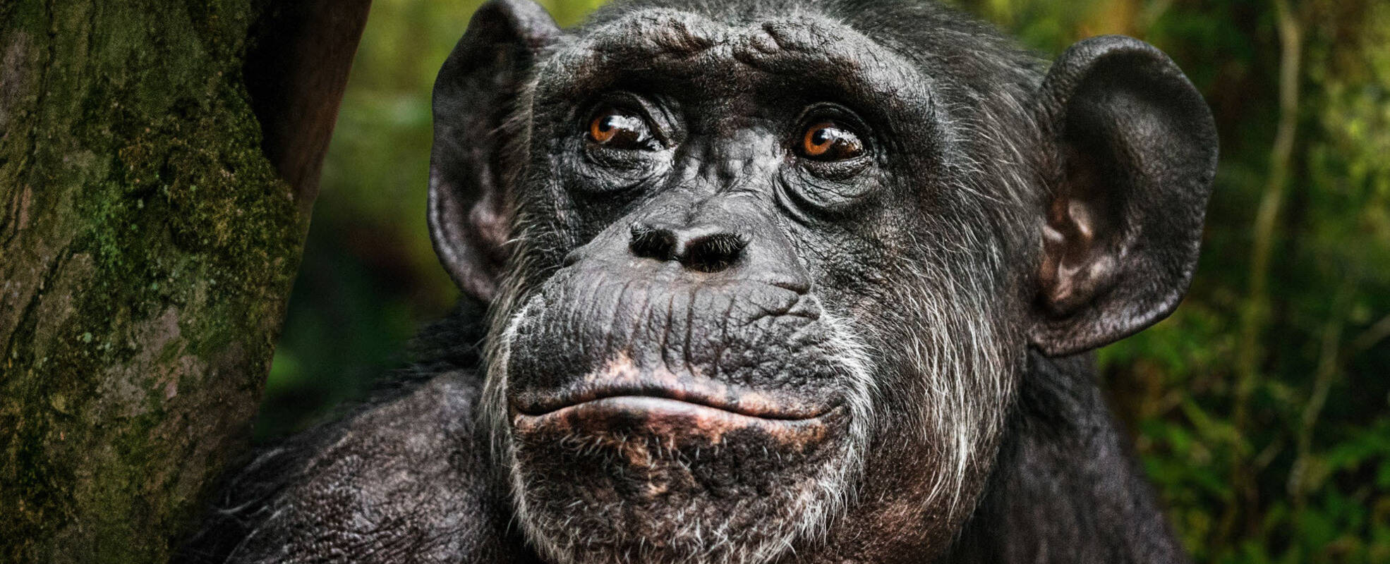 Rundreise Westafrika mit Ikarus Tours erleben