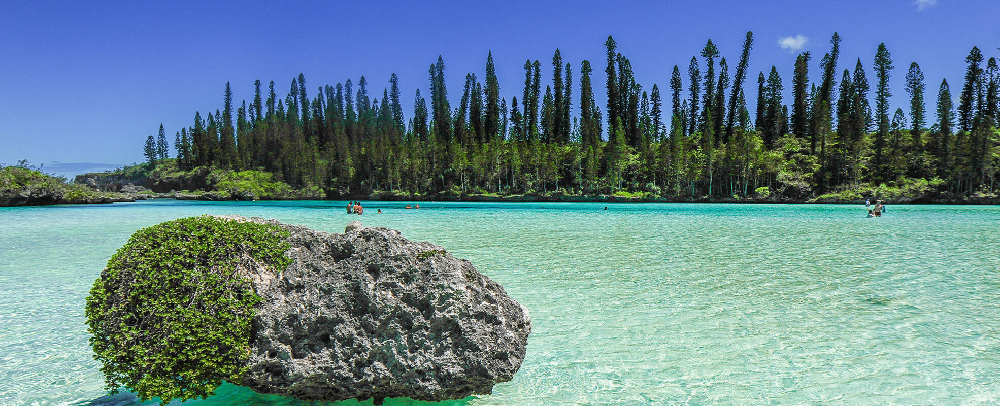 Neukaledonien Rundreisen mit ihrem Reisespezialisten erleben