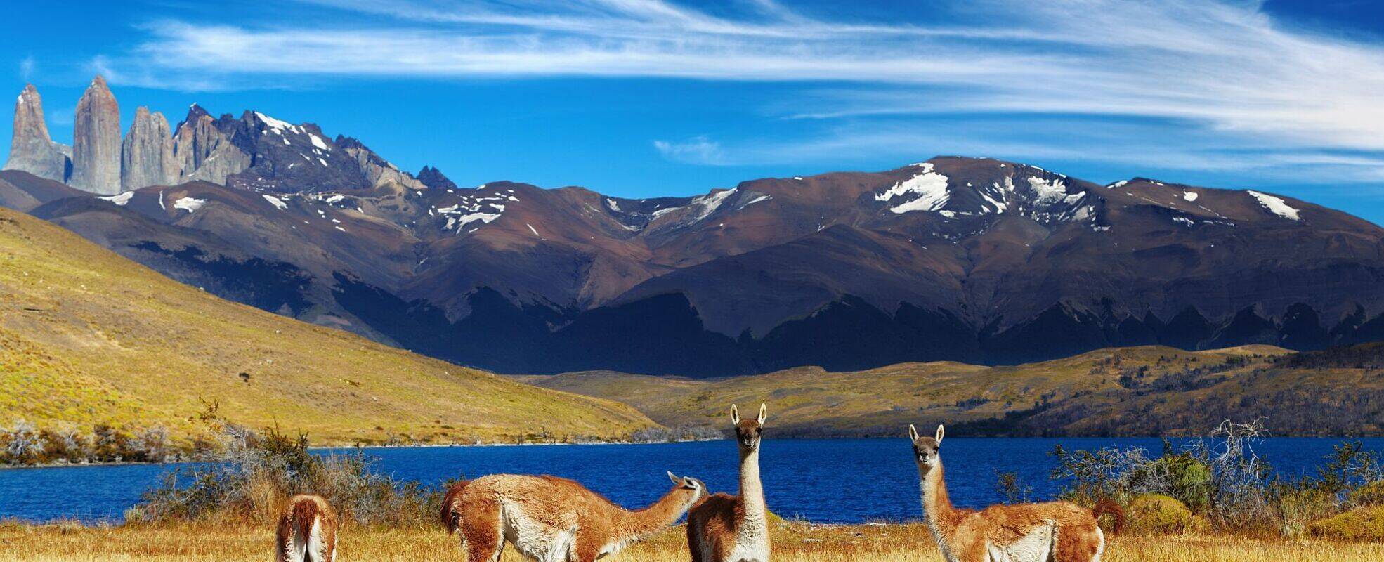 Rundreise Chile mit Ikarus Tours erleben