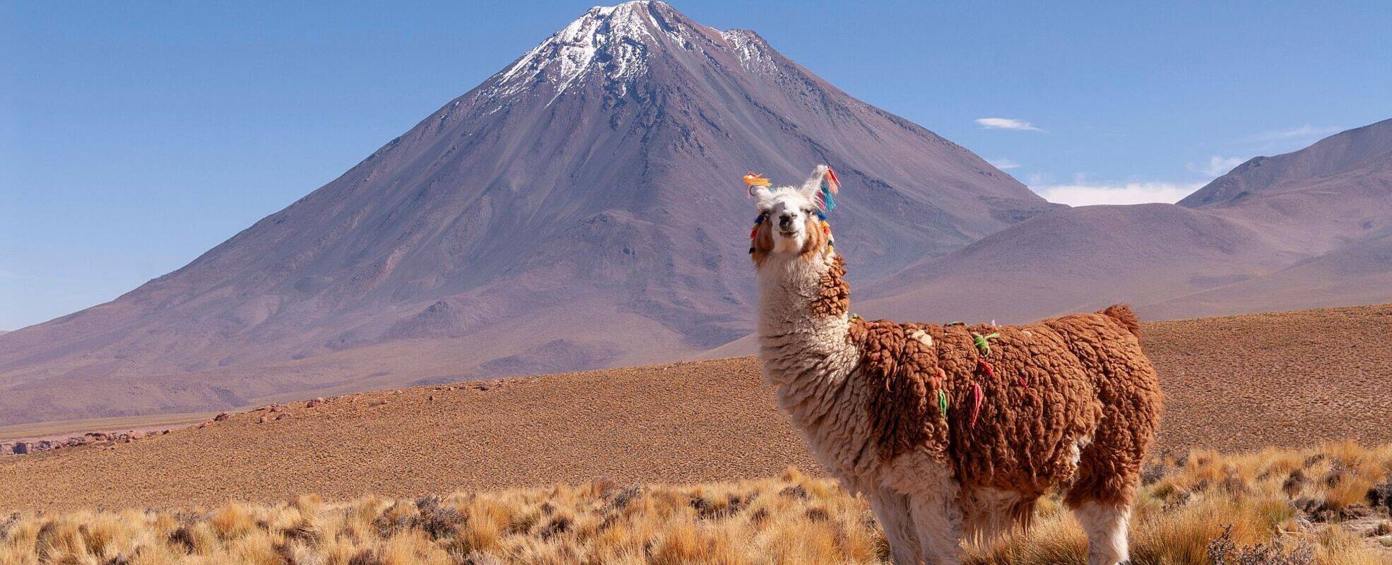 Rundreise Bolivien mit Ikarus Tours erleben