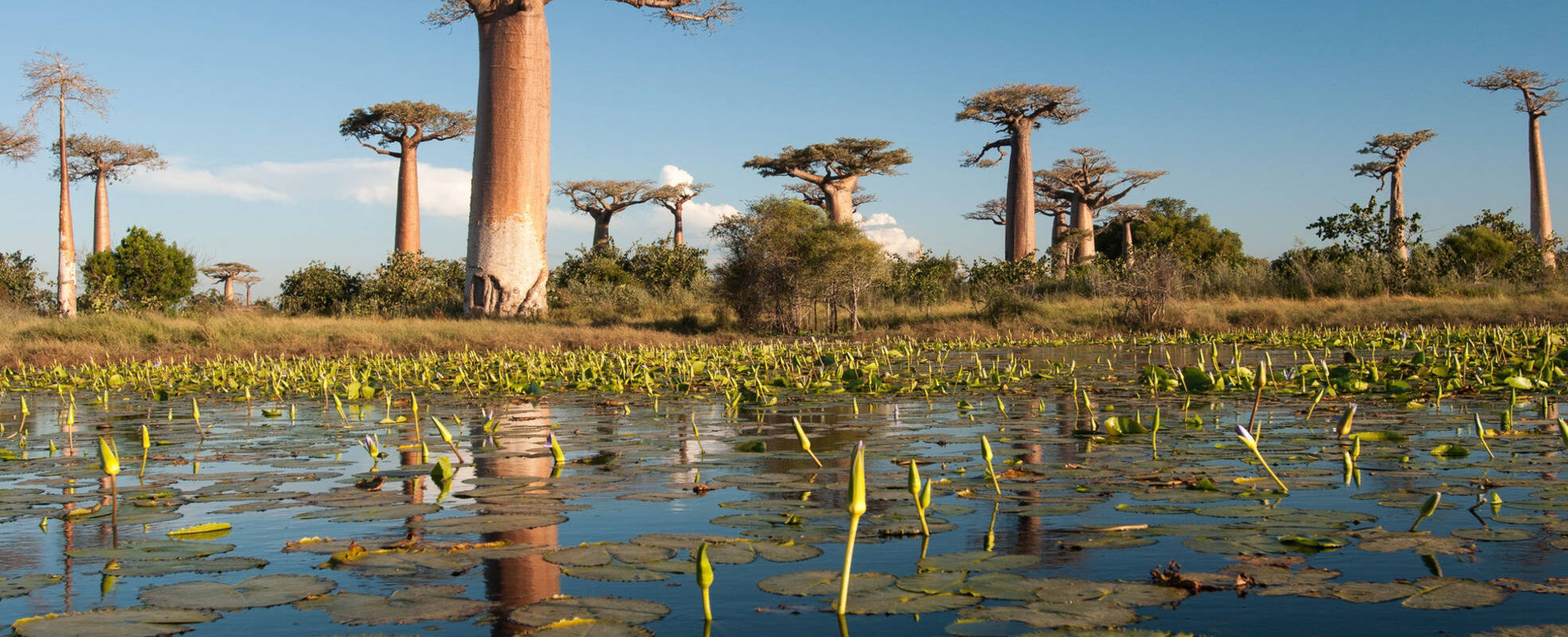Rundreise Madagaskar mit Ikarus Tours erleben