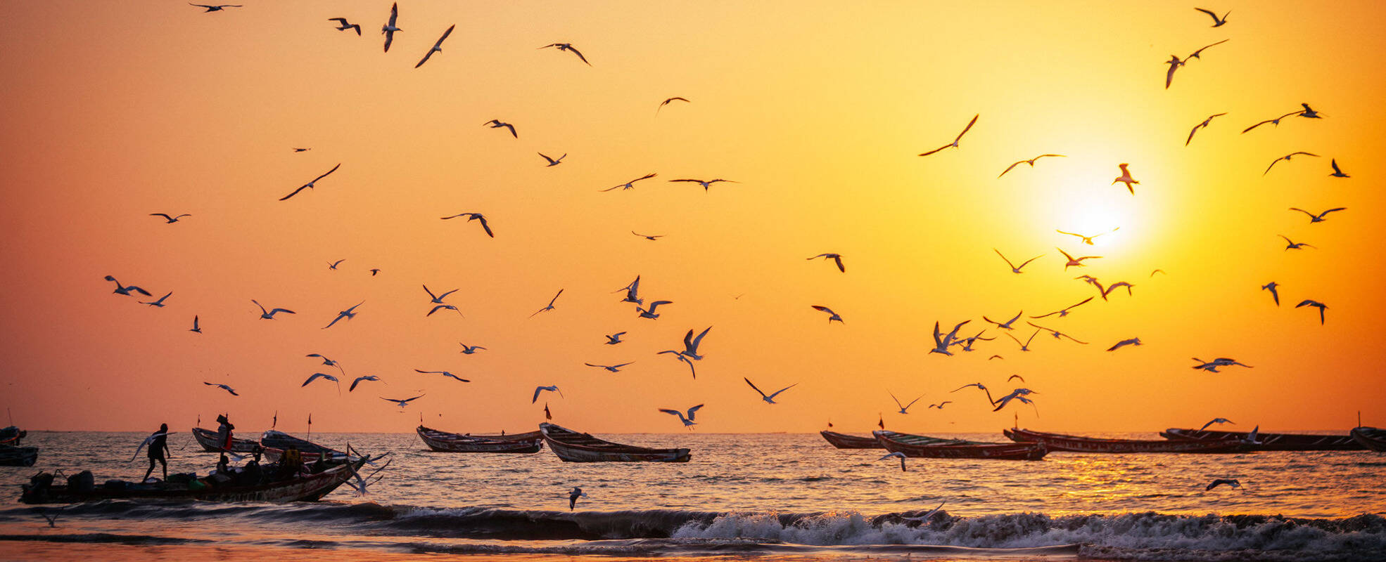 Rundreise Gambia mit Ikarus Tours eleben