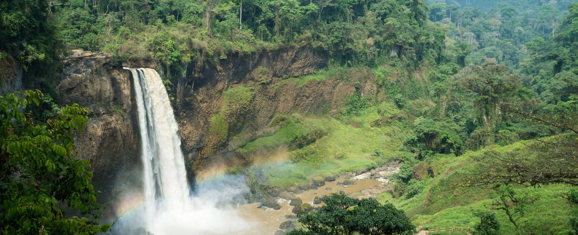 Rundreise Kamerun mit Ikarus Tours erleben